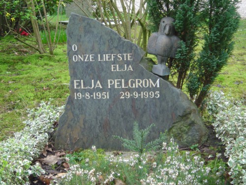 Bestand:Elja Pelgrom.jpg