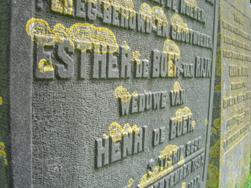 Bestand:Esther de Boer-van Rijk 2.jpg