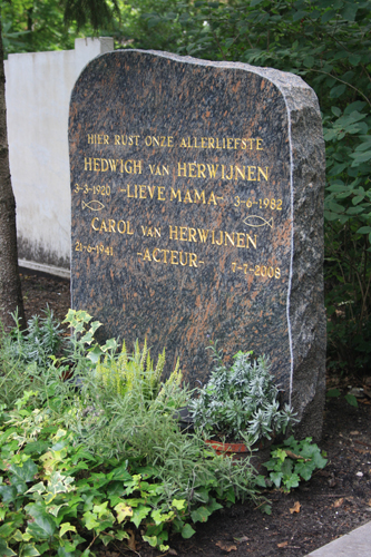 Bestand:Carol van Herwijnen.jpg