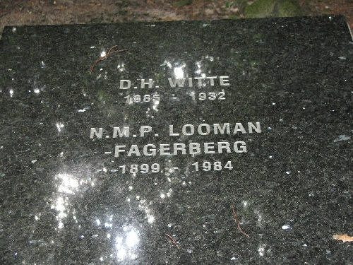 Bestand:Dirk Witte 2.jpg