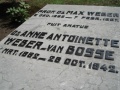 Anna Weber-van Bosse 2.jpg