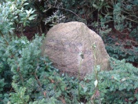 An Rutgers van der Loeff-Basenau.jpg