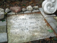 Samuel Brill 2.jpg