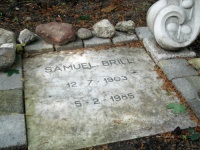 Samuel Brill 2.jpg