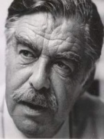 Ad Ploeg portret.jpg