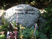 Harry Mooten 2.jpg