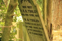 Willem Bastiaan Tholen 2.jpg