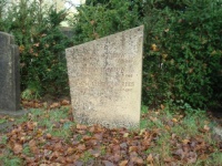 Ida de Leeuw van Rees 2.jpg