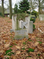 Ko van den Bosch.jpg