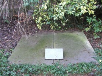 Nicolaas Beets 1.jpg