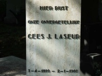 Cees Laseur 2.jpg