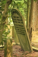 Willem Bastiaan Tholen 1.jpg