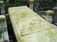 Sophie Pauwels-van Biene 1.jpg