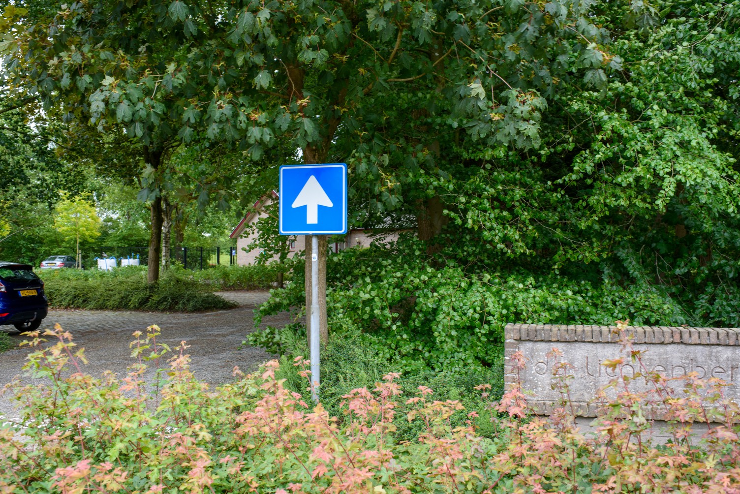 Foto locatie