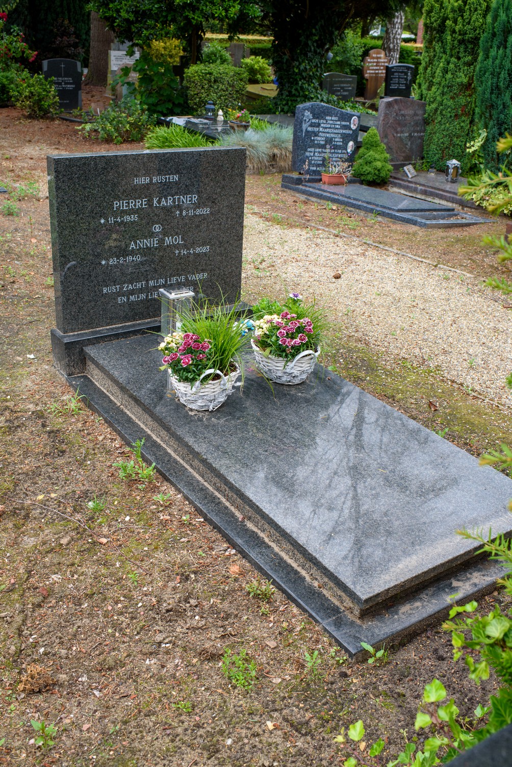 Foto 1