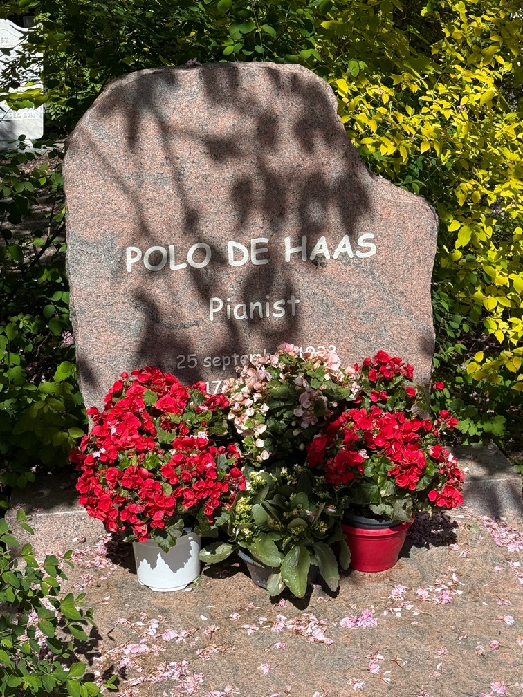 Foto 1