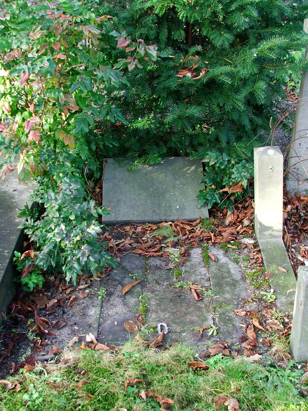 Foto 1